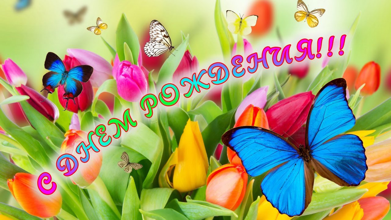 день рождения София поздравления прикольные