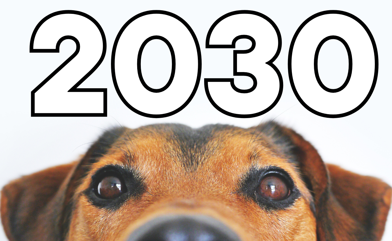 2030 рік кого