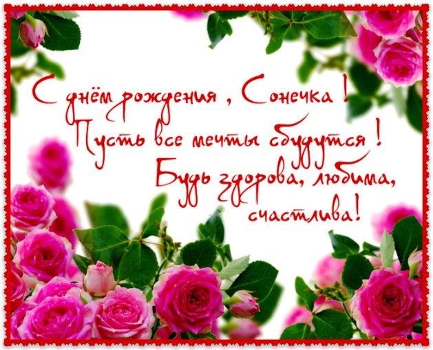 с днем рождения София