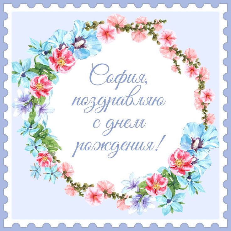 душевные поздравления с днем рождения София прикольные