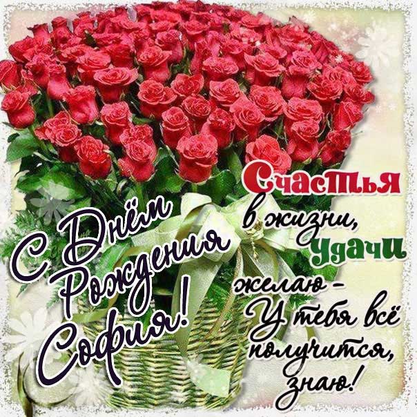 Короткие поздравления с днем рождения София