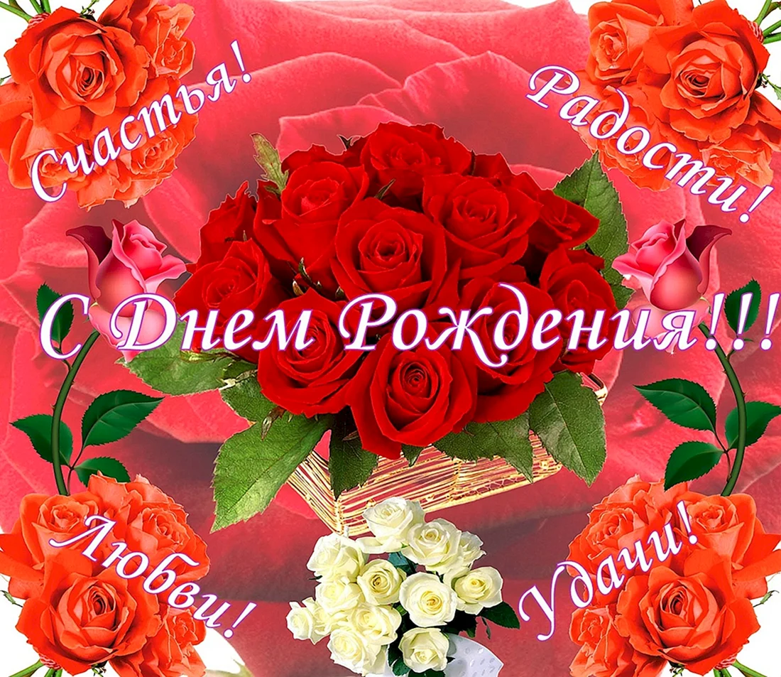 Мудрые поздравления с днем рождения София