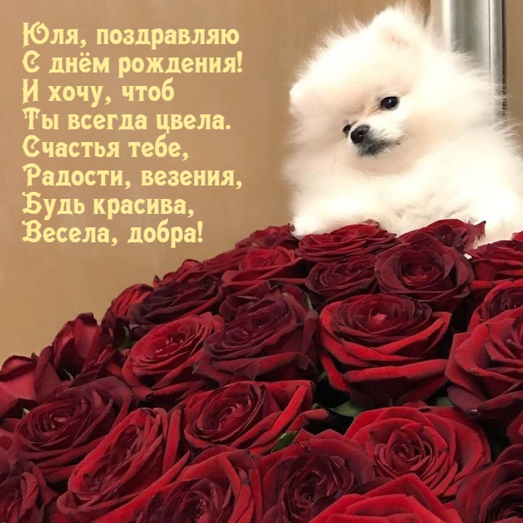 поздравления с днем рождения Юлия
