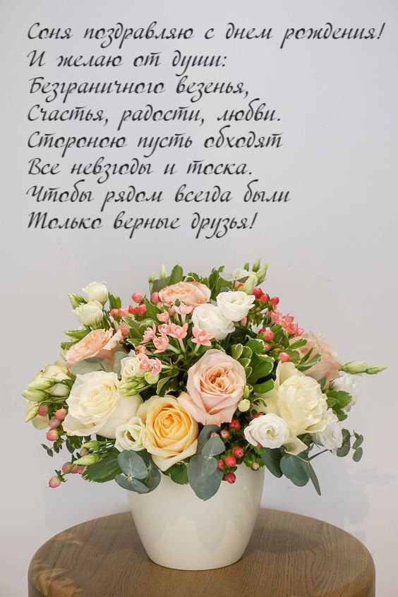 Смешные поздравления с днем рождения София