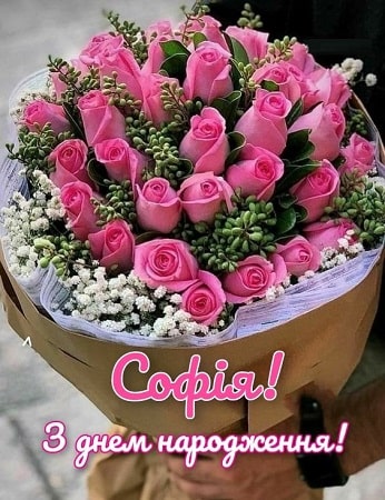 Смішні привітання з днем народження Софія