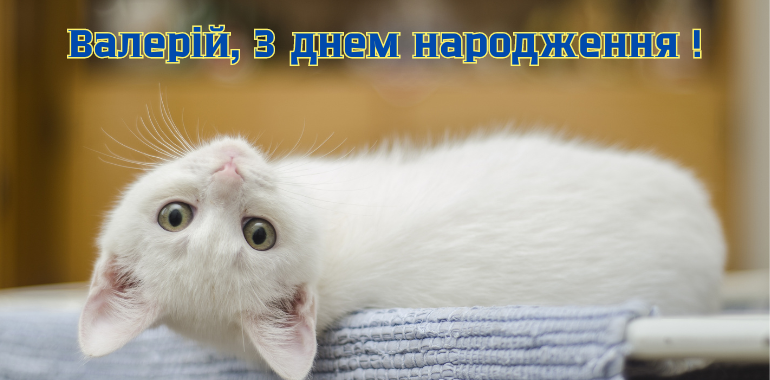 з днем народження, Валерію