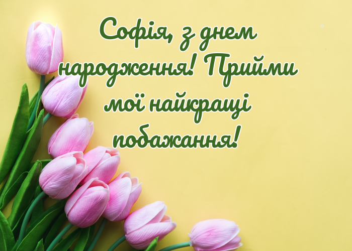 з днем народження, Софія