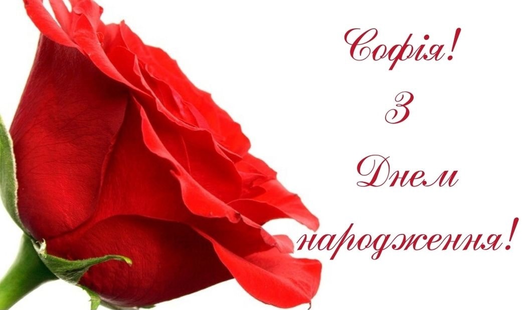 веселі привітання Софії з днем народження