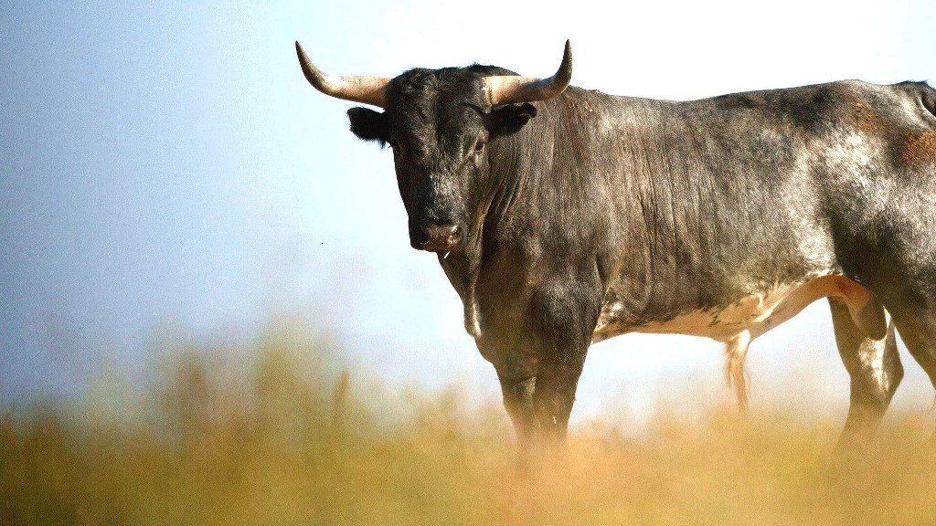 2021 в восточном календаре