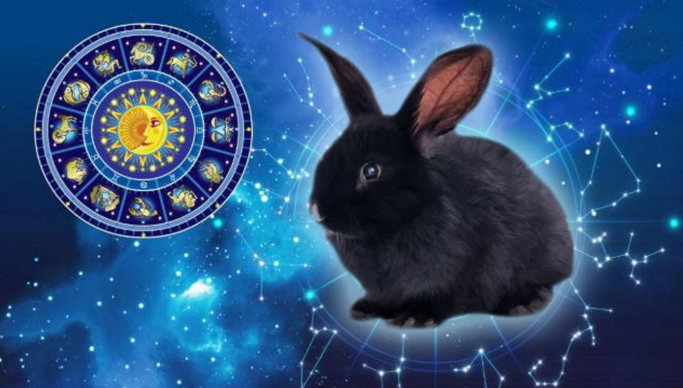 2023 у східному календарі