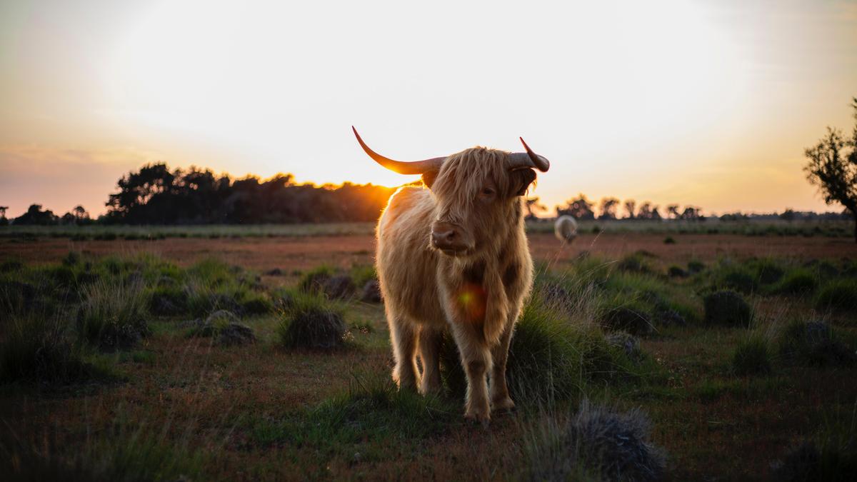 2021 рік кого