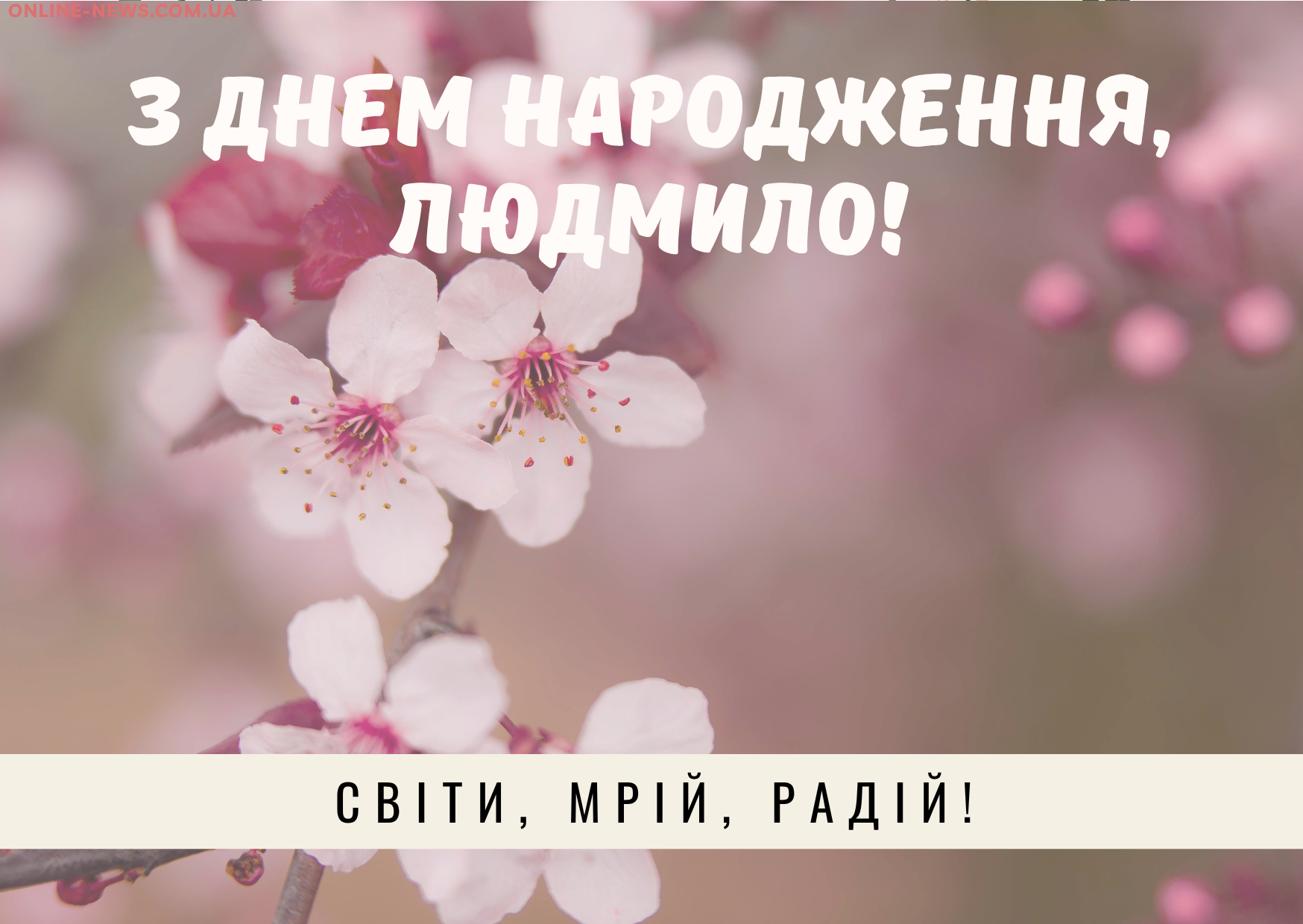 щирі привітання з днем народження Людмила прикольні