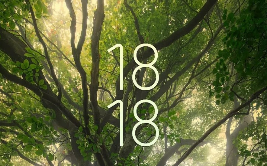 що означає 18 18