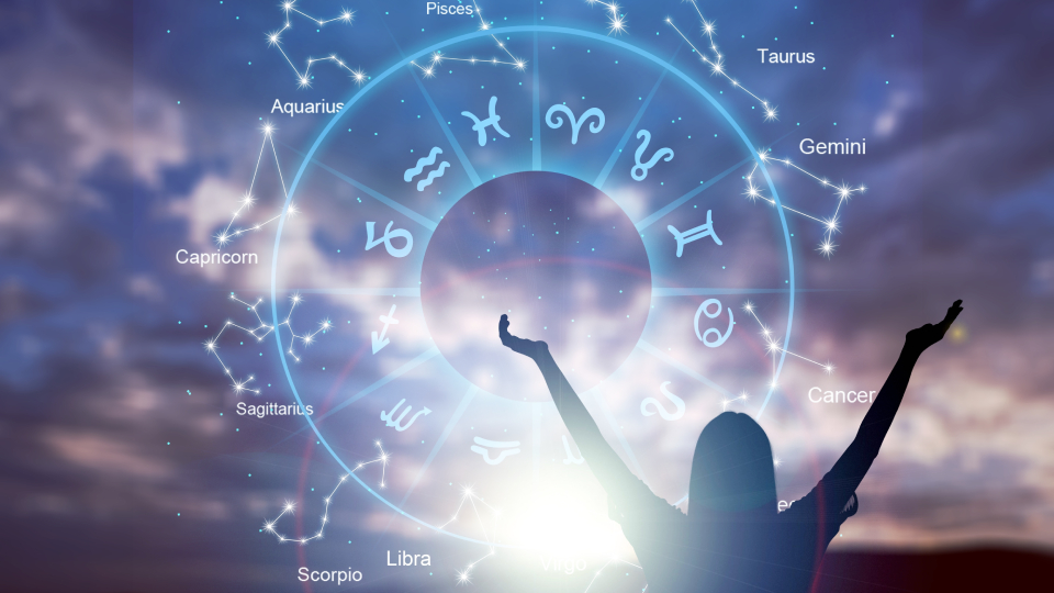 знак зодиака январь