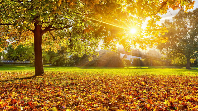 який знак зодіаку в жовтні