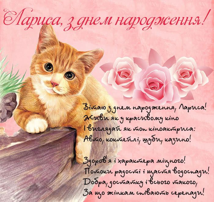 щирі привітання з днем народження Лариса