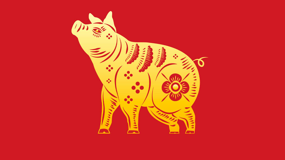 год какого животного 2031