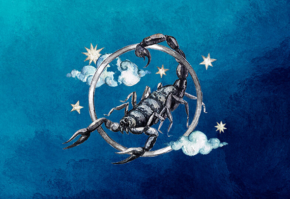 22 ноября какой знак зодиака