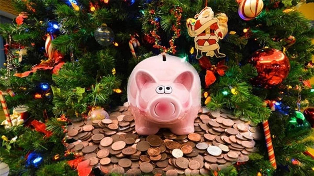 год 2019 какого животного