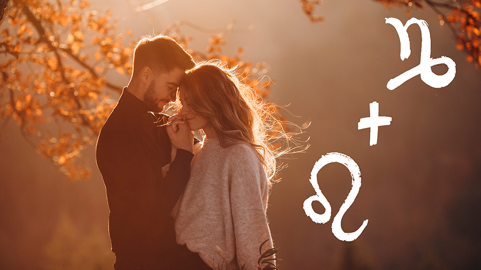 козерог и лев совместимость